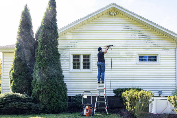 Best Gutter Cleaning and Brightening in Duryea, PA